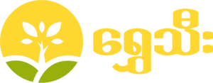 Shwe Thee Site Identity